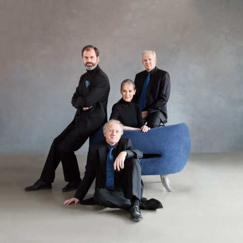 Martinu Quartet blue and black, blue nest_autor Petra Hajská