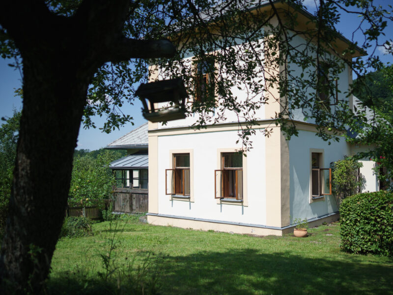 wSON03049